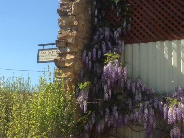 Les Glycines Bed & Breakfast Saint Gaudens Exterior photo